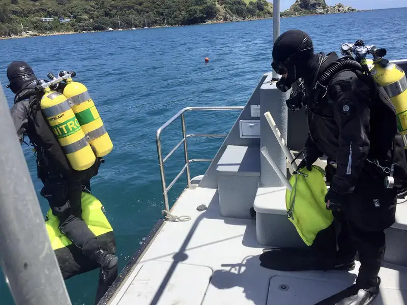 Nave da ricerca in vendita