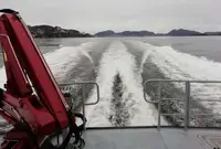 Imbarcazioni da lavoro in vendita