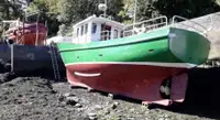 Peschereccio in vendita