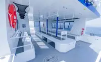 Catamarano in vendita