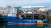 Imbarcazioni da lavoro in vendita