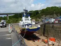 Portacontainer in vendita