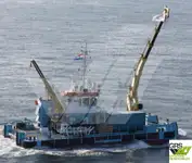 Barche da lavoro in vendita