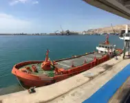 Portacontainer in vendita