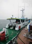Piroga di pilotaggio in vendita