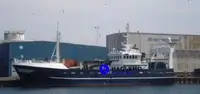 Nave per la lavorazione e il trasporto di pesce in vendita