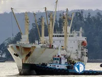 Nave refrigerata in vendita