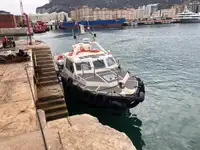 Trasportatore di merci sfuse in vendita