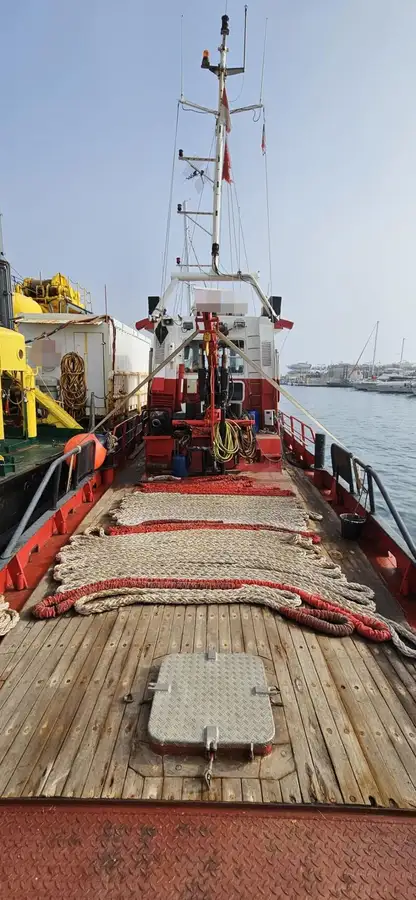 Rimorchiatore in vendita
