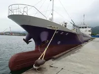 General Cargo/Multi-purpose in vendita