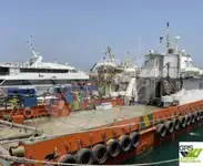 Nave di servizio per parchi eolici in vendita