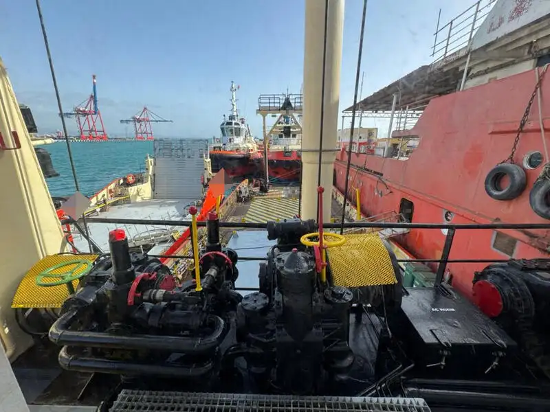 Portacontainer in vendita