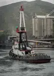Rimorchiatore in vendita