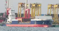 Nave reefer in vendita