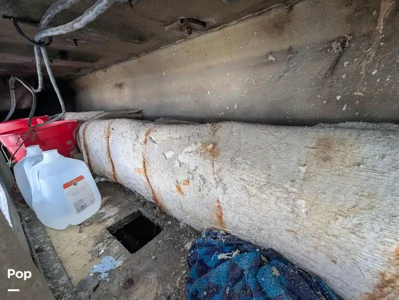 Nave traghetto da crociera in vendita