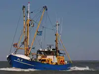 Peschereccio a strascico in vendita