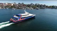 Catamarano in vendita
