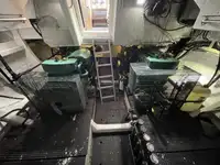 Piroga di pilotaggio in vendita