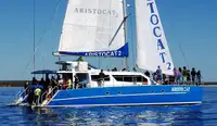 Catamarano in vendita