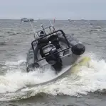 Portacontainer in vendita