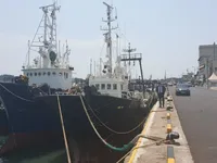 Peschereccio a strascico in vendita