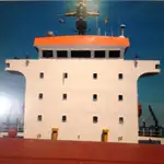 Trasportatore di merci sfuse in vendita