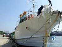 Peschereccio per calamari in vendita