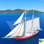 Nave da crociera in vendita