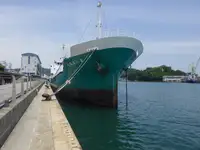 Trasportatore di asfalto in vendita