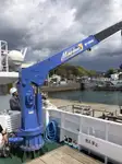 Trasportatore di merci sfuse in vendita