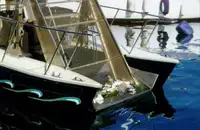 Barche da lavoro in vendita