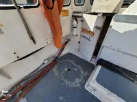 Nave per la lavorazione del pesce in vendita