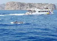 Nave passeggeri in vendita