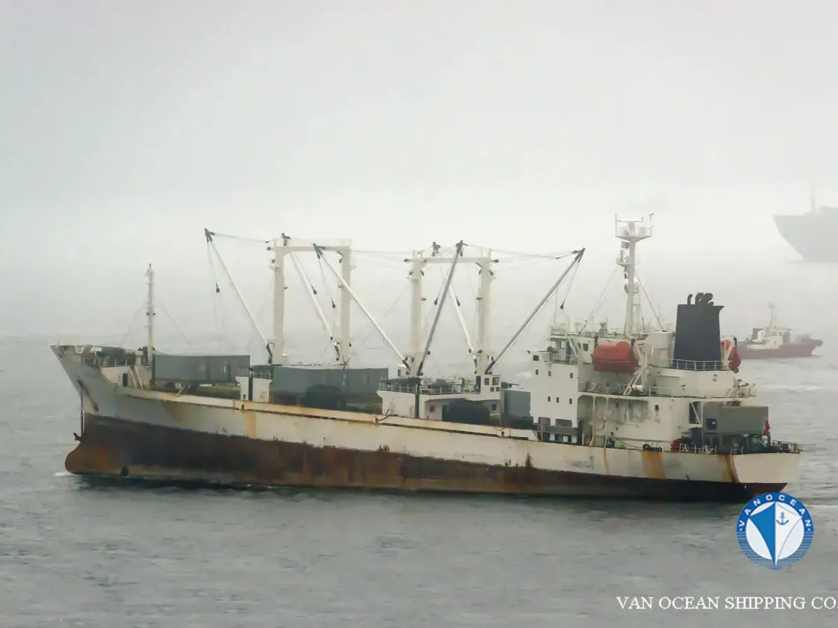 Nave refrigerata in vendita