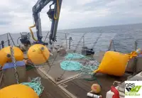 Barche da lavoro in vendita