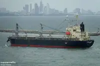 Trasportatore di merci sfuse in vendita