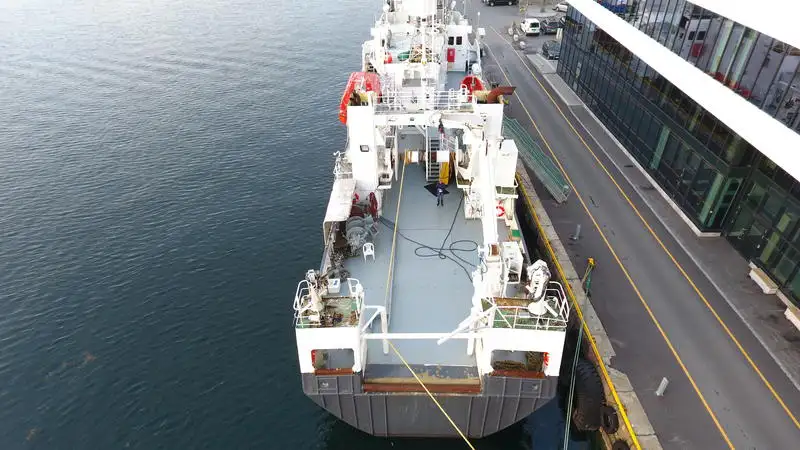 Portacontainer in vendita
