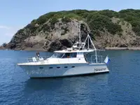 Nave da ricerca in vendita