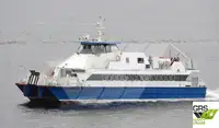 Catamarano in vendita