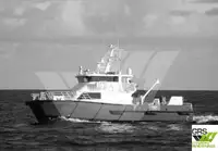Catamarano in vendita