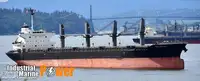 Trasportatore di merci sfuse in vendita