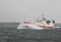 Trawler in vendita