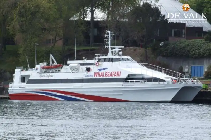 Catamarano in vendita