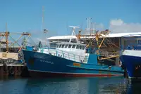 Trawler in vendita