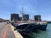 Longliner in vendita