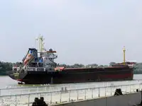 Trasportatore di merci sfuse in vendita