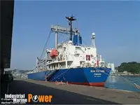 Trasportatore di merci sfuse in vendita