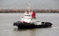Rimorchiatore in vendita