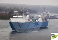 Nave Ro-Ro in vendita
