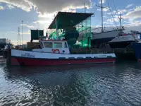 Barche da lavoro in vendita